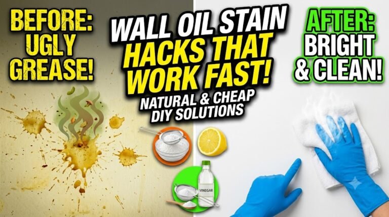 Kitchen Wall Oil Stain Removal Hacks That Work Fast